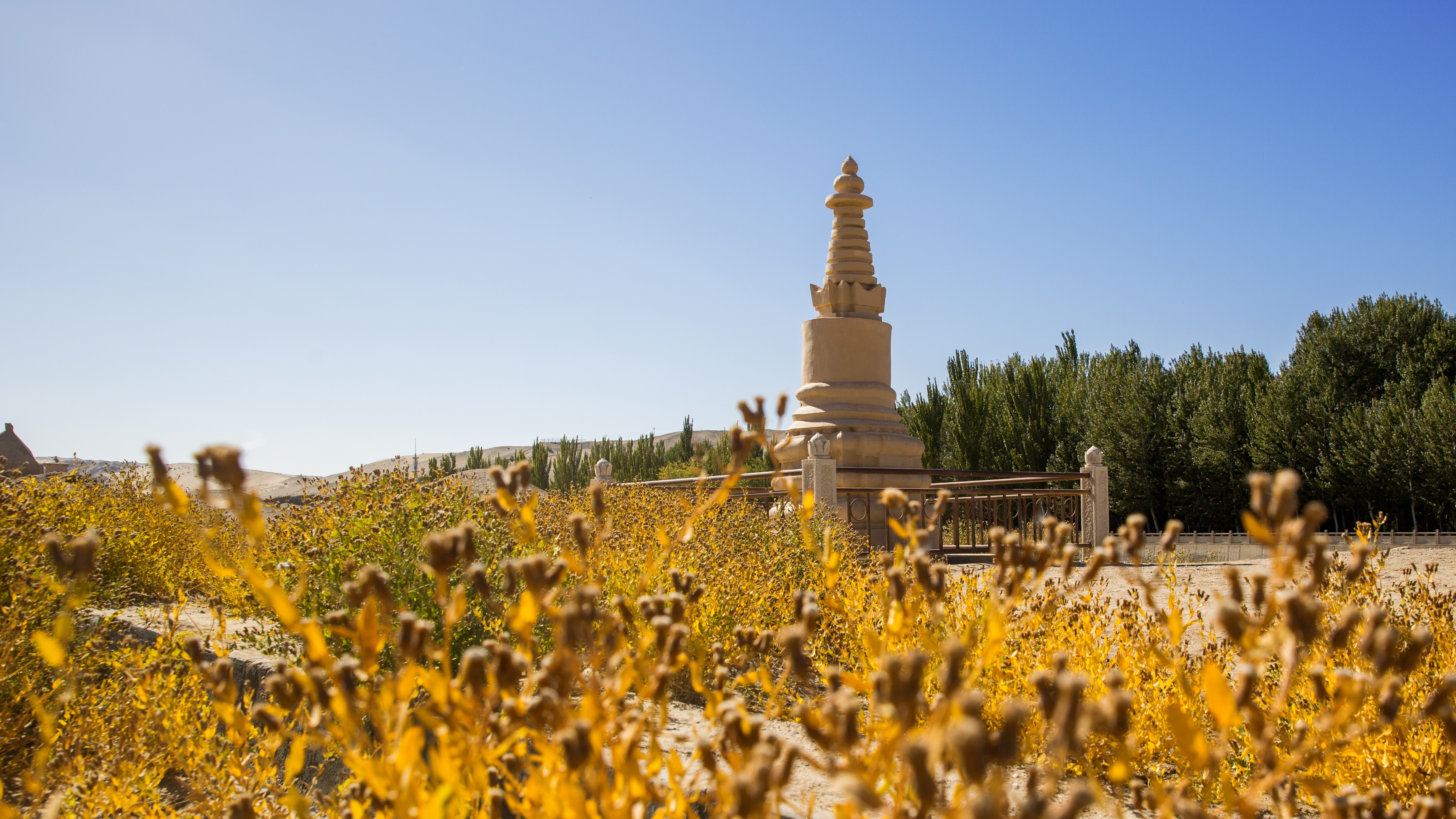 A beige Buddhist stupa rises against a clear blue sky in the arid Xinjiang desert, framed by soft foreground grasses.