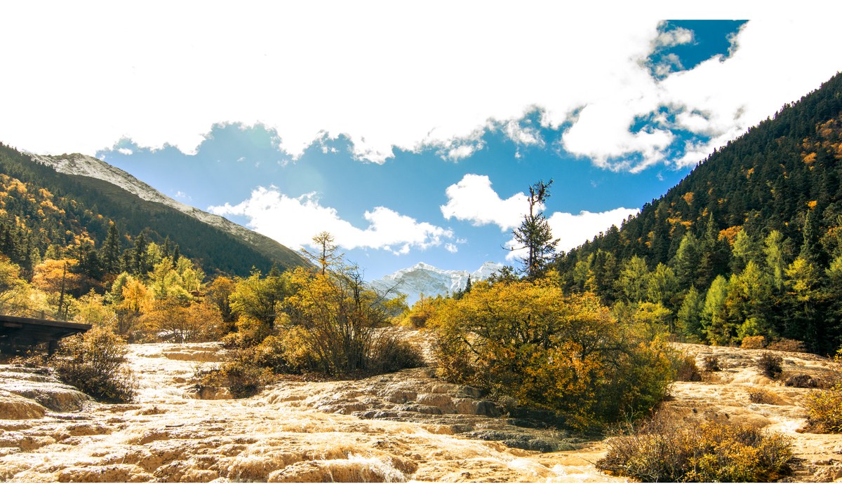 Wide-angle shot of golden travertine terraces and autumn trees beneath a snow-capped peak under a blue sky.