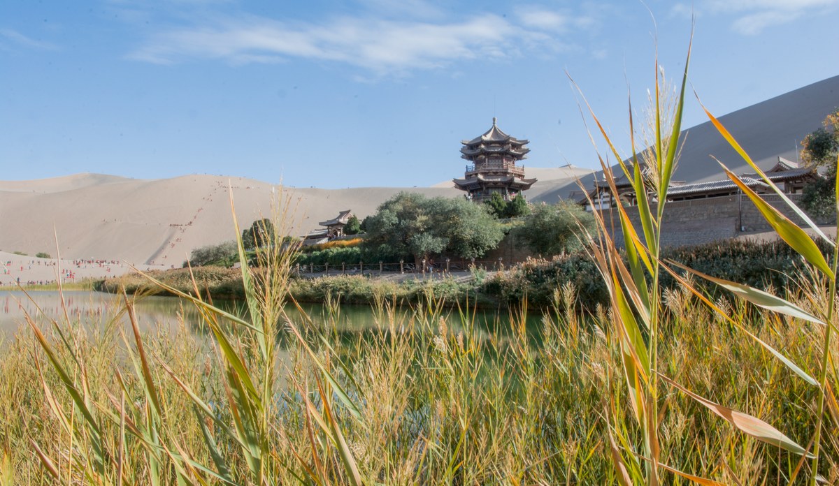 Traditional Chinese pavilion near calm waters, framed by golden reeds and towering desert dunes under a clear blue sky.
