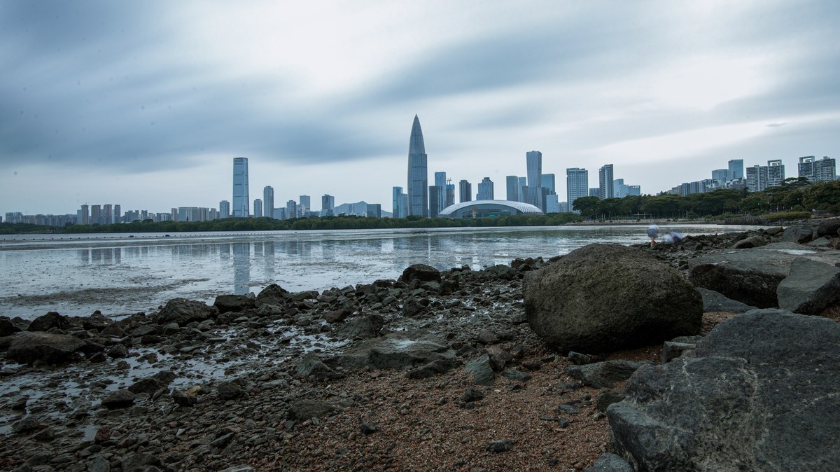 Rocky shoreline and tidal flats leading to a dense, modern Shenzhen skyline under a cloudy, overcast sky.