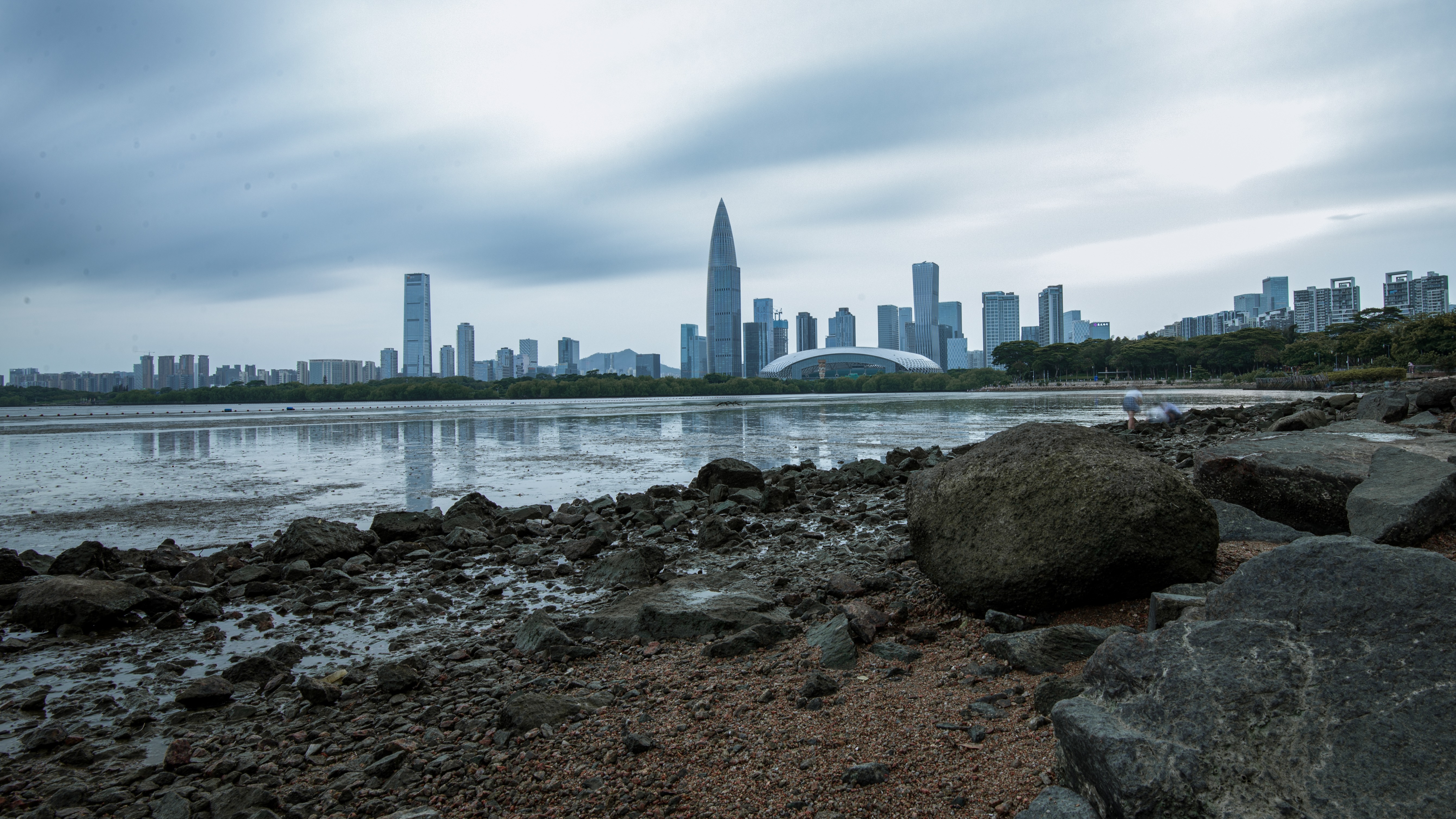 Rocky shoreline and tidal flats leading to a dense, modern Shenzhen skyline under a cloudy, overcast sky.