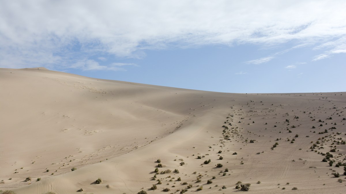 Vast undulating sand dunes curve across a muted desert landscape with sparse green shrubs under a pale blue sky.