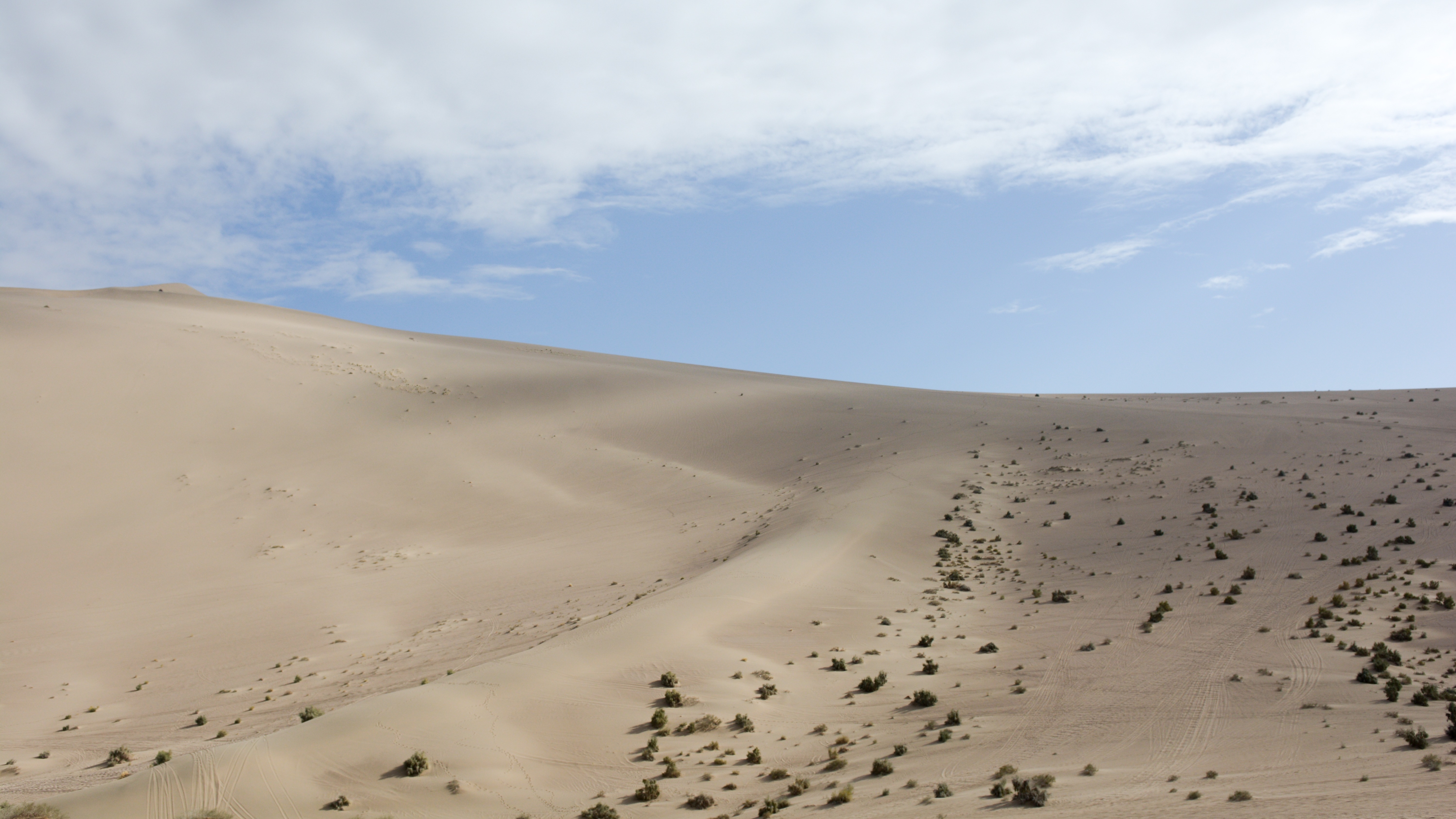 Vast undulating sand dunes curve across a muted desert landscape with sparse green shrubs under a pale blue sky.