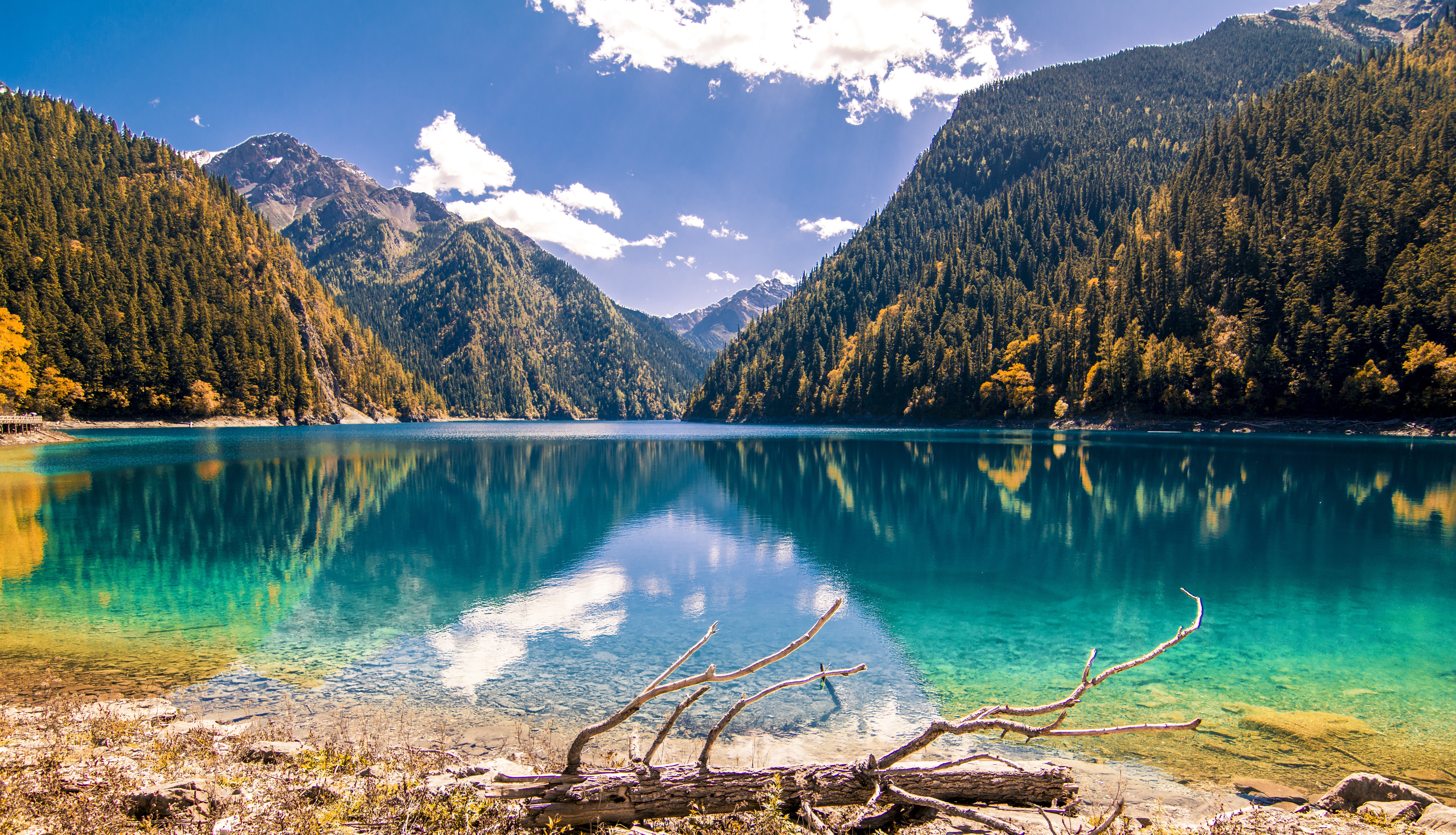 Symmetrical composition of a turquoise alpine lake reflecting steep forested mountains and a clear blue sky.